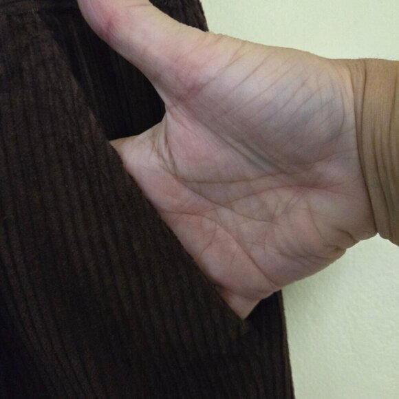 J. Peterman 6 Whale Chocolate Brown Wide Whale Pleated Front Pants Size 4 - Picture 3 of 5